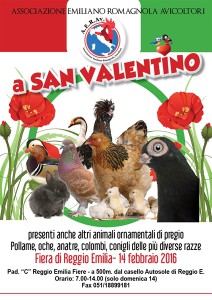 6_san-valentino-razze-av-ii