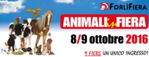 animali-in-fiera-forli-1024x397